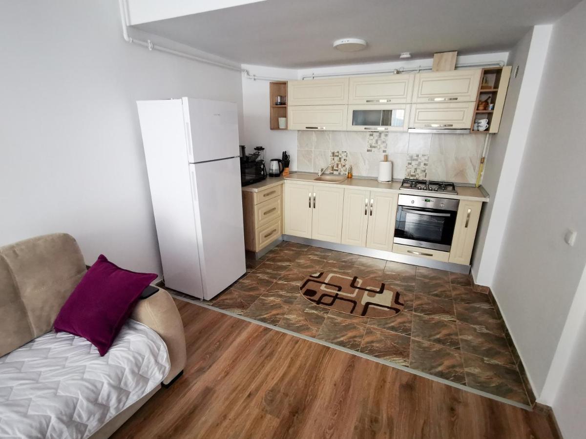 Orchid Luxury Apartment 시나이아 외부 사진
