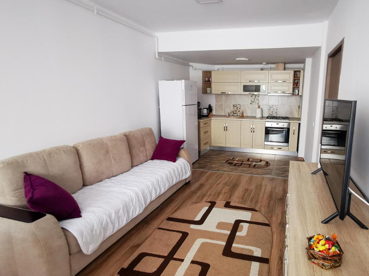 Orchid Luxury Apartment 시나이아 외부 사진